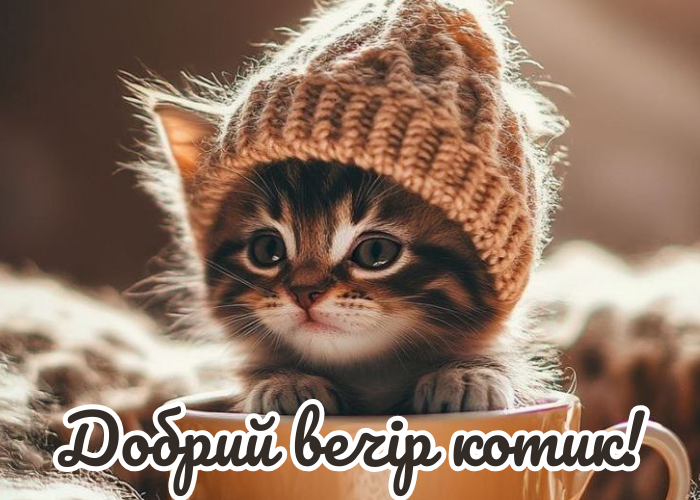 доброго вечора - картинки українською