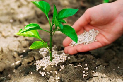 пестициди це