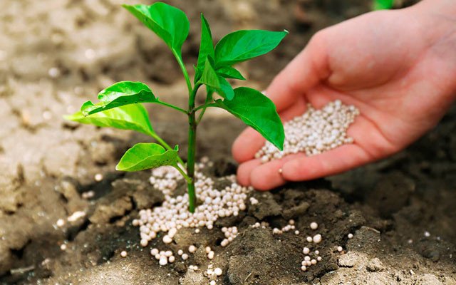 пестициди це